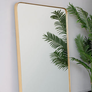 The Large Rectangular Framed Wall Mirror leaning against a white wall, styled with a plant.