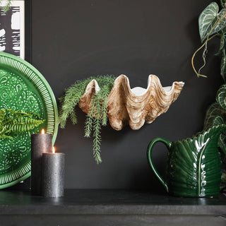 The Clam Shell Wall Shelf displayed on a black wall with a plant inside, styled with various other home accessories.