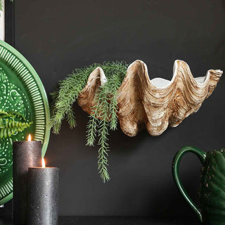 Beautiful clam shelf styled with green foliage