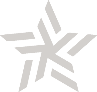 Icon of a silver star logo. 