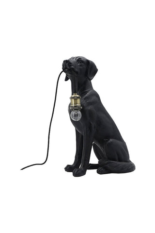 Image of the Black Dog Floor Lamp on a white background