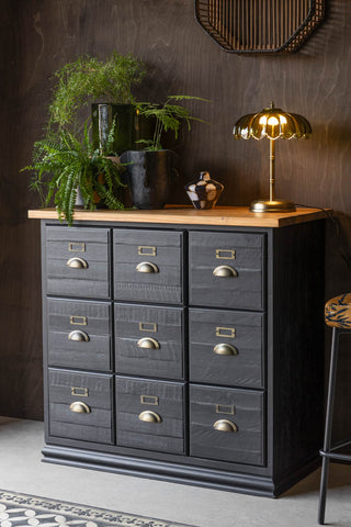 A styled image of the Small Apothecary Sideboard with a lamp and plants on top of it.