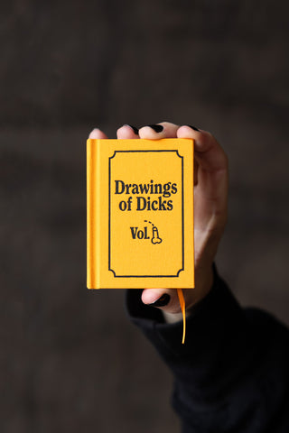 Image of the Drawings of Dicks A7 Notebook