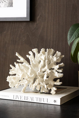 Faux Pure White Coral Ornament on book with plant and print