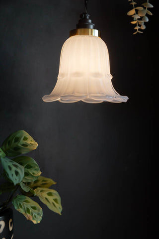 The Frosted White Vintage-Style Glass Easyfit Ceiling Light Shade in front of a dark wall, styled with plants.