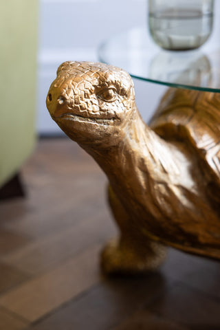 A detailed image of the The Gold Tortoise Side Table showing the cute face of the tortoise