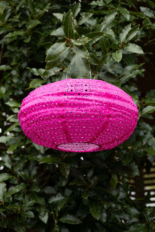 The Hot Pink Hanging Outdoor Solar Lantern hanging up in a tree.