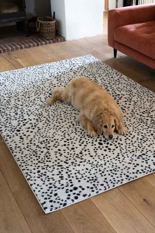 Lifestyle image of the Muse Monochrome Dalmatian Spot Rug  - 2 Sizes Available