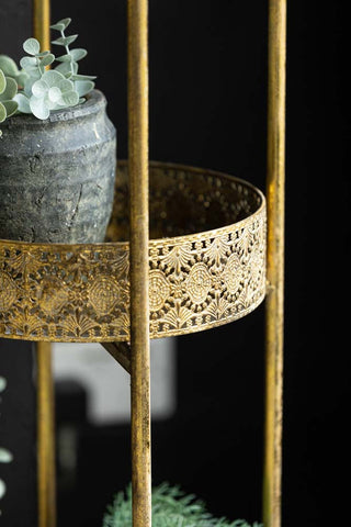 Detail image of Ornate Gold Tall Tray Shelves, styled with plants.