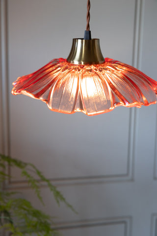 The Pale Pink Flower Glass Easyfit Ceiling Light Shade with the light switched on, hanging in front of a white wall with a plant in the background.