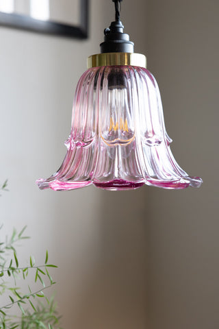 The Pale Pink Vintage-Style Glass Easyfit Ceiling Light Shade hanging above a plant, with a framed artwork on the wall in the background.