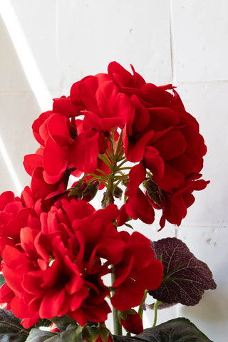 Realistic fake plant with red geraniums.