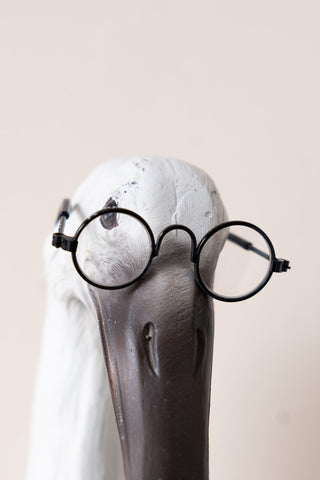 Close-up image of the Quirky Bird With Spectacles & Bow Tie Wall Art