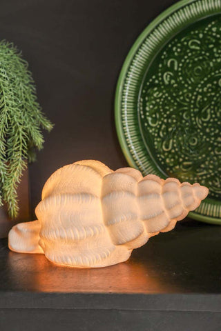 Sandstone Shell Table Lamp displayed illuminated on a black sideboard with a plant and a green tray in the background.