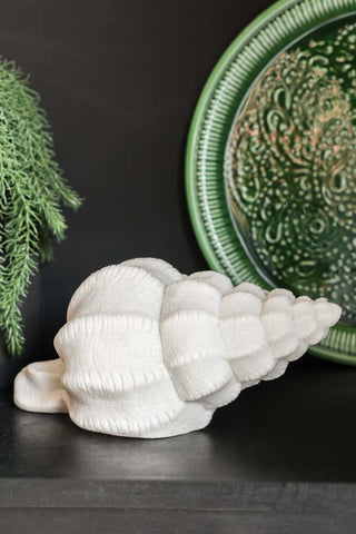 Sandstone Shell Table Lamp displayed on a black sideboard with a plant and green tray in the background.