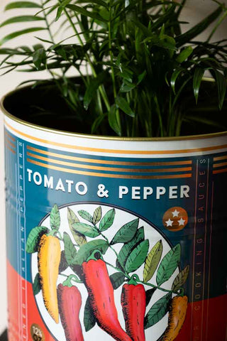 Close-up shot of one of the Set Of 2 Passata Storage Tins - Large with a plant inside.