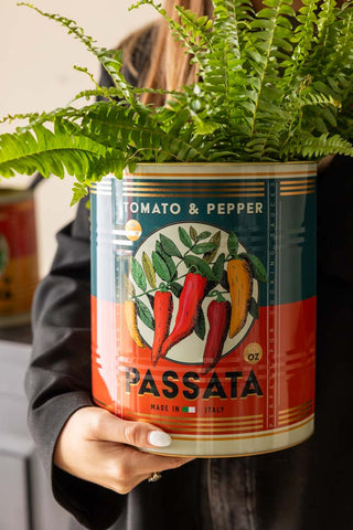 One of the Set Of 2 Passata Storage Tins being held with a plant displayed inside.