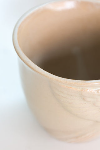 Image of the finish for the Set Of 2 Taupe Bird Mugs