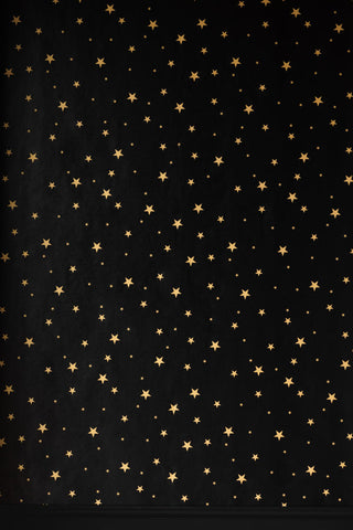 Image of the Rockett St George Starry Skies Black Wallpaper. 