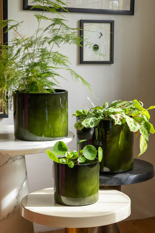 Set of three beautiful green planters on three side tables with faux plants.