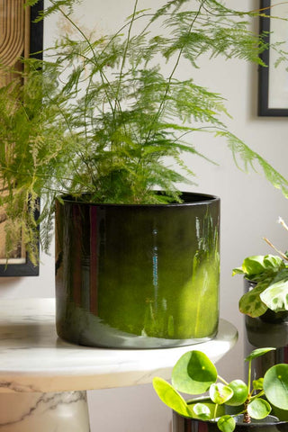 Green planter on a side table with a green leaf plant.