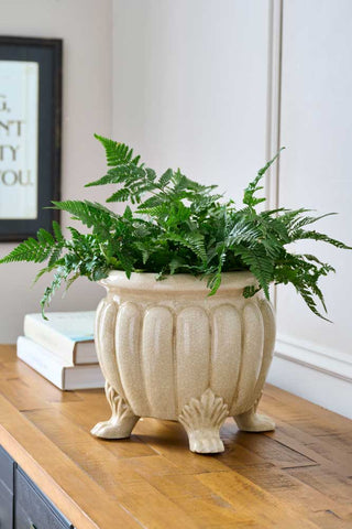 Lifestyle image of the Vintage Footed Planter