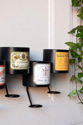 Close-up of the Vintage-Style French Wall-Mounted Bottle Holder on the wall, styled next to a plant.