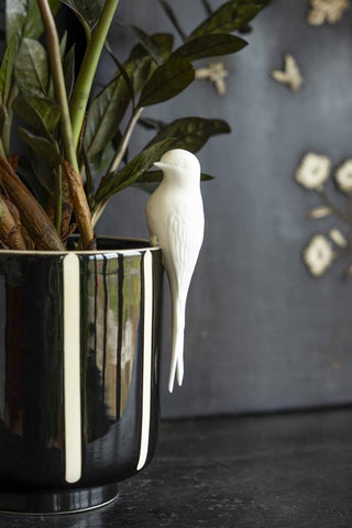 Image of the White Swallow Bird Ornament on a plant pot