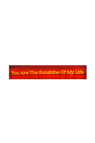 Image of the You Are The Sunshine To My Life Neon Wall Light on a white background