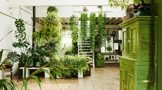 Image of the glorious Clapton Tram. A stunning light filled home featuring 100's of plants and a green dresser. 