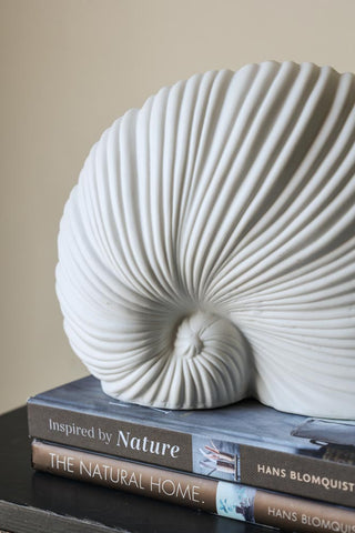 Image of the White Faux Sea Snail Ornament