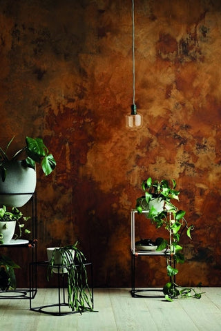 Lifestyle image of Craig and Rose paint in a rust effect, The image has black metal plant stands with green plants. 