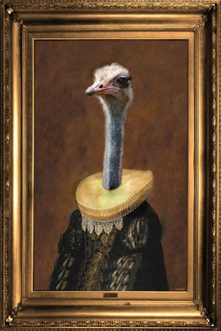 Canvas print of an ostrich in old fashioned clothes featuring a gold frame design.