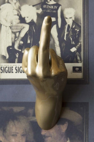A gold wall mounted hand hook that shows a life size hand with the middle finger up in a swearing pose.  