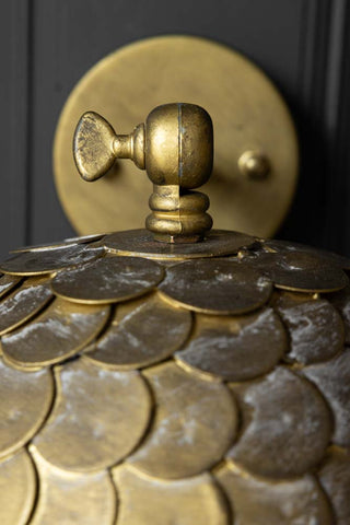 Detail image of the Antique Brass Scalloped Plug In Wall Light