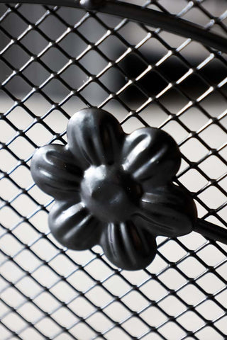 Close-up image of the Beautiful Bird Fire Guard