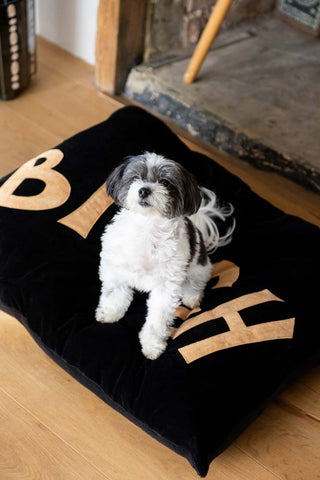 Image of the Bitch Dog Bed - 3 Available Sizes