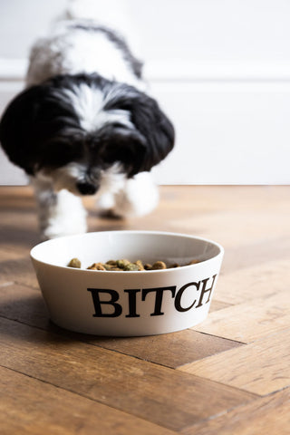 Lifestyle image of the Bitch Pet Bowl - 2 Available Sizes