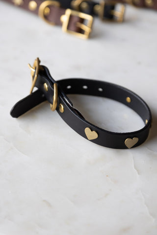 Lifestyle image of the Black Leather Dog Collar With Hearts - 5 Available Sizes