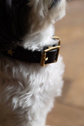 Detail image of the Black Leather Dog Collar With Stars - 5 Available Sizes
