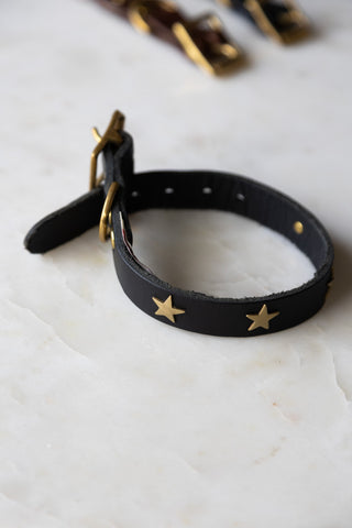 Lifestyle image of the Black Leather Dog Collar With Stars - 5 Available Sizes
