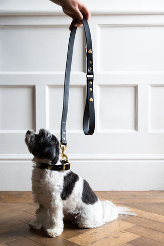 Image of the Black Leather Dog Lead With Hearts