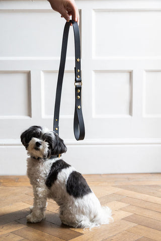 Image of the Black Leather Dog Lead With Stars