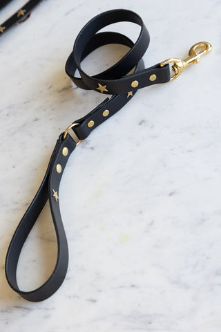 Lifestyle image of the Black Leather Dog Lead With Stars