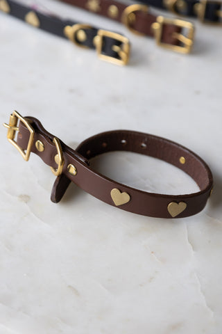 Lifestyle image of the Brown Leather Dog Collar With Hearts - 5 Available Sizes