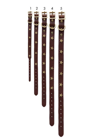 Image of the different sizes for the Brown Leather Dog Collar With Stars