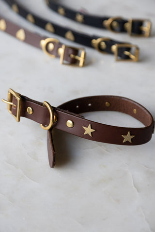 Lifestyle image of the Brown Leather Dog Collar With Stars - 5 Available Sizes