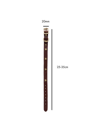 Image of the Brown Leather Dog Collar With Stars - Size 2 on a white background