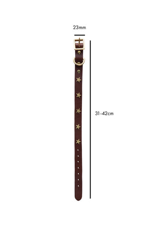 Image of the Brown Leather Dog Collar With Stars - Size 3 on a white background