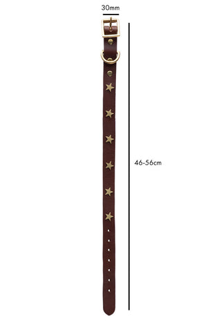 Image of the Brown Leather Dog Collar With Stars - Size 5 on a white background